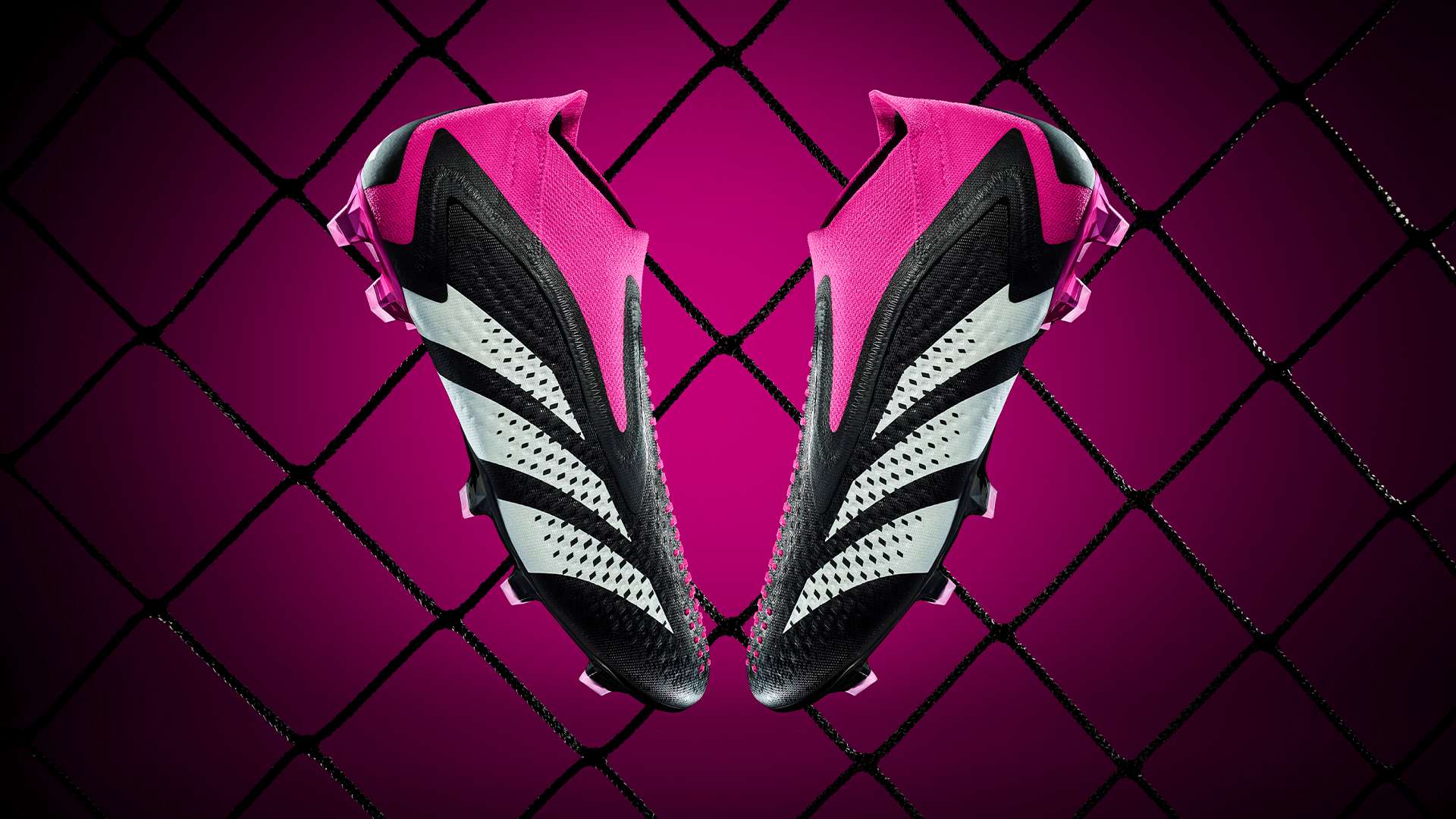 万背后的付 万背后的付