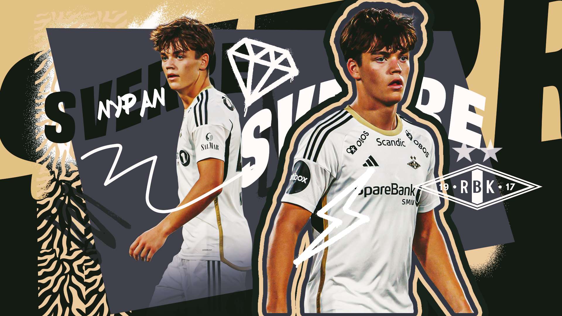 他几乎无可 他几乎无可